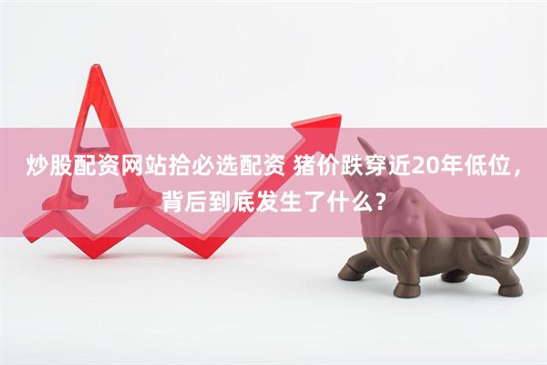 炒股配资网站拾必选配资 猪价跌穿近20年低位，背后到底发生了什么？